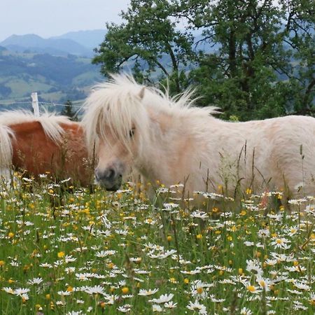 Miniponyhof Biohof Almbauer Διαμέρισμα Waidhofen an der Ybbs Εξωτερικό φωτογραφία