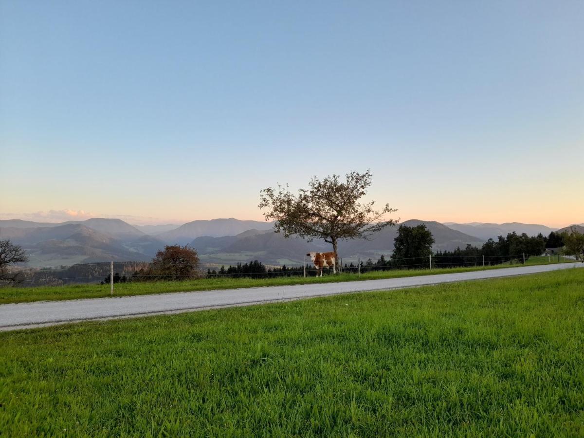 Miniponyhof Biohof Almbauer Διαμέρισμα Waidhofen an der Ybbs Εξωτερικό φωτογραφία