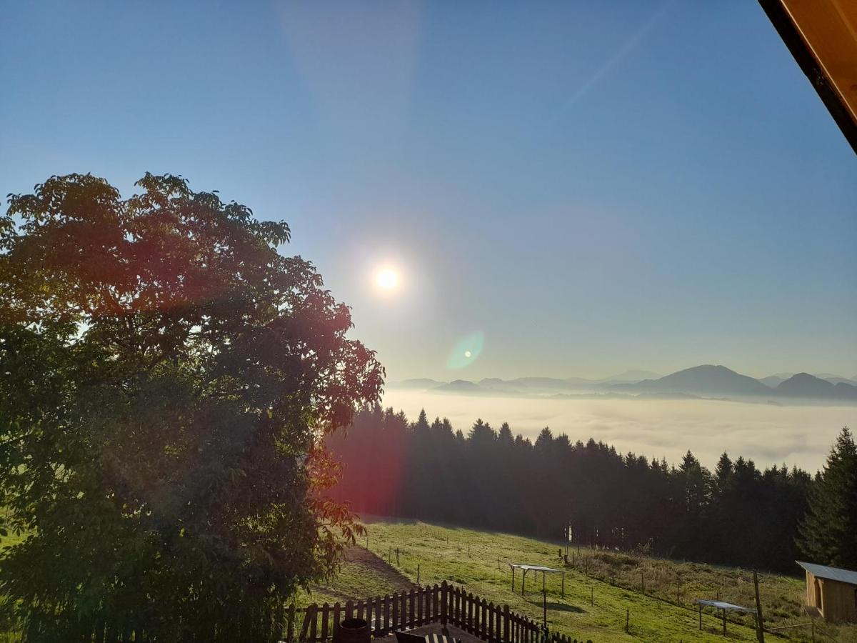 Miniponyhof Biohof Almbauer Διαμέρισμα Waidhofen an der Ybbs Εξωτερικό φωτογραφία